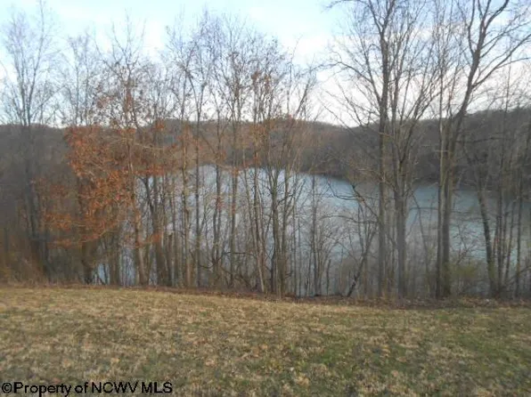 LOT 9 Lakeview Dr, Horner, WV 26372