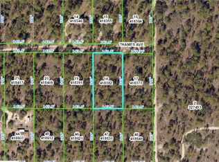 12084 Thames Ave, Weeki Wachee, FL 34614