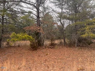 0 Triple Creek Dr Lot 9, Efland, NC, 27243