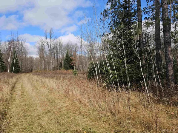 Cataldo Dr #&-13, Iron River, MI 49935