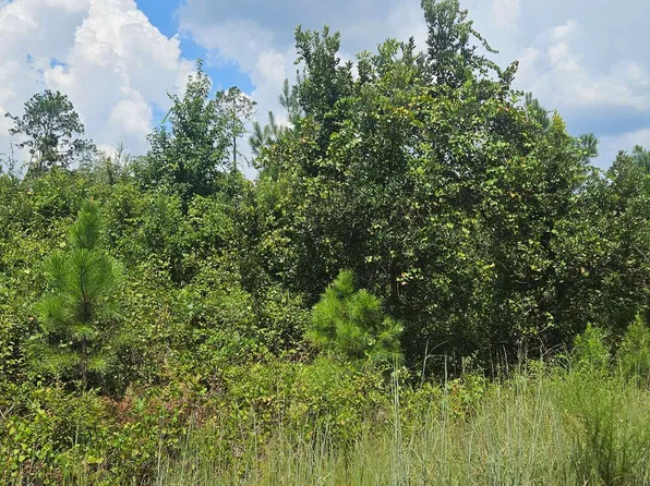 0 66th St, Live Oak, FL 32060