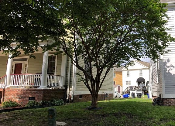 3rd image of 928 Thomas Cir