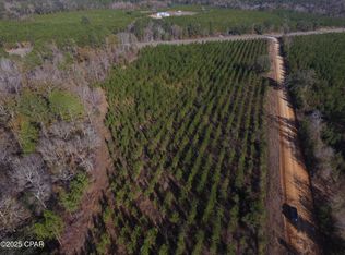 LOT 3 Peanut Rd, Cottondale, FL 32431