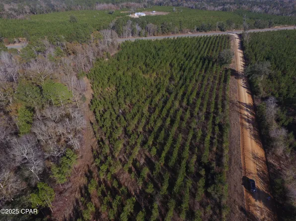 LOT 3 Peanut Rd, Cottondale, FL 32431