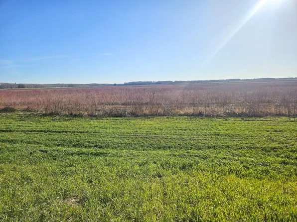 New, Newfolden, MN 56738