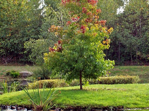 View of island landscape