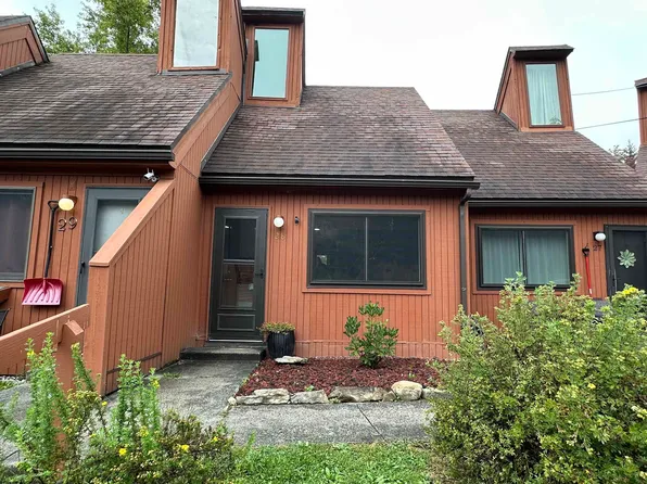 61 Pendletonheim Cir #28, Davis, WV 26260