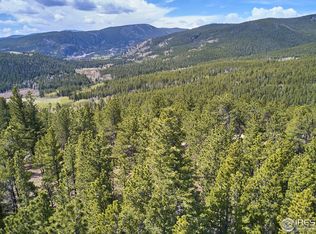 223 County Road 128n, Nederland, CO 80466
