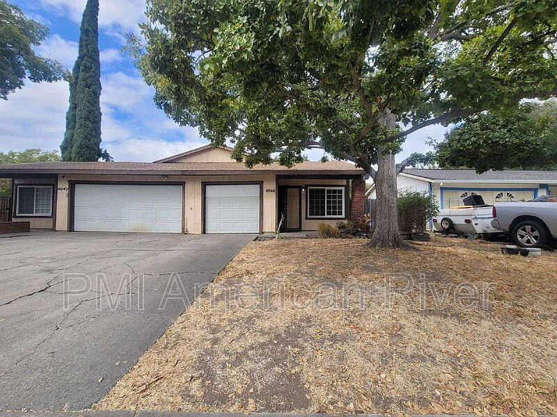 2 bed, 1.0 bath, 800 sqft, $1,695 — Photo 2