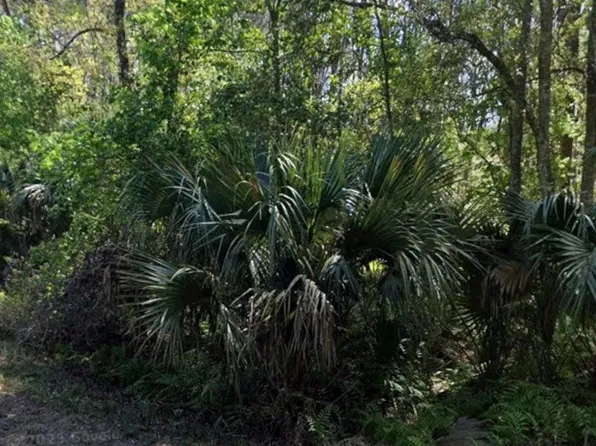 425 Dogwood Ave, Georgetown, FL 32139