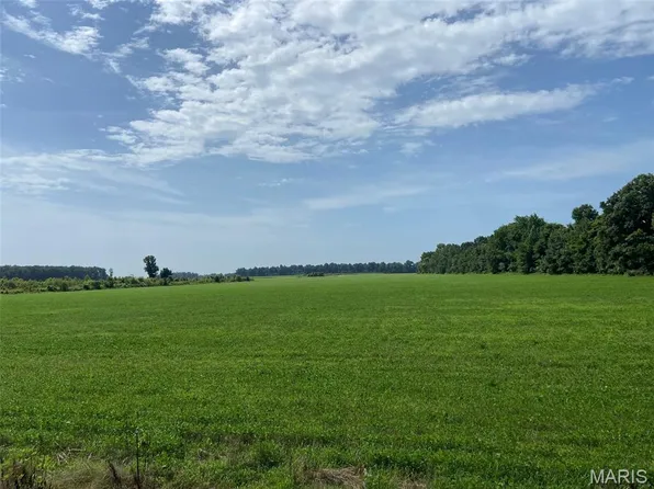 25100 State Highway Ab, Essex, MO 63846
