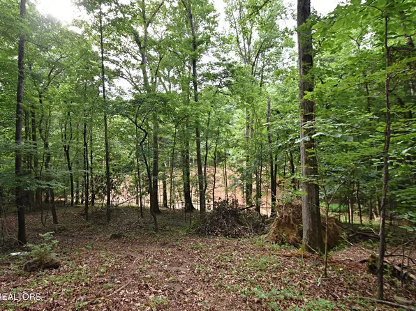 0 Early Rd #3, Knoxville, TN 37922