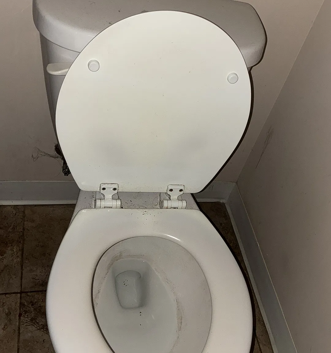 2 bed, 1000 sqft, $1,000 — Photo 4