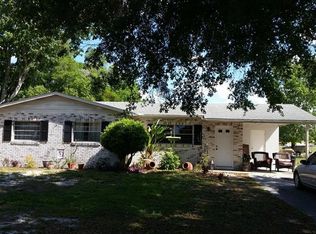 3335 Palmetto St, Mount Dora, FL 32757