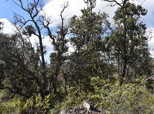 Reef Circle Makai LOT 16, Captain Cook, HI 96704