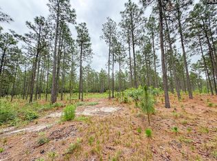 0 Neely Wingard Rd LOT 3, Gilbert, SC 29054