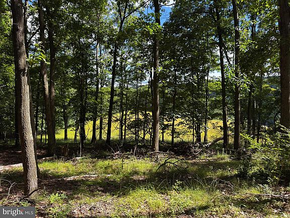 4th image of 281 Whetstone Run