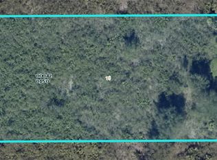 1105 Hamilton Ave, Lehigh Acres, FL 33972