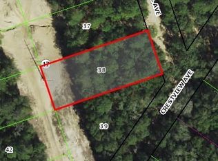 99 Webhill Ave, Inverness, FL 34452