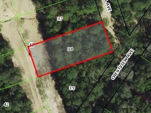 99 Webhill Ave, Inverness, FL 34452