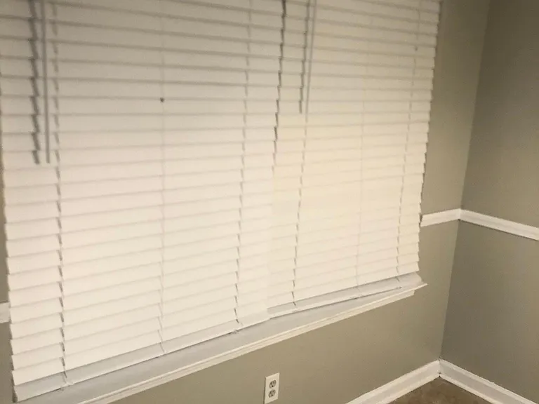 323 Goldenrod Dr — Photo 12