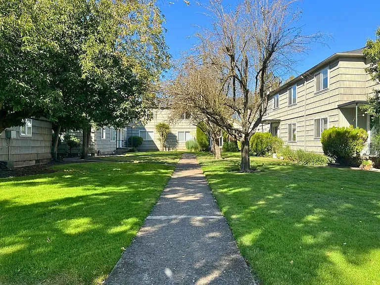 315e19 — Photo 12