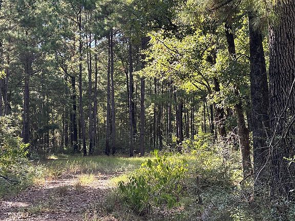 4th image of 0 Fm 980 Rd N