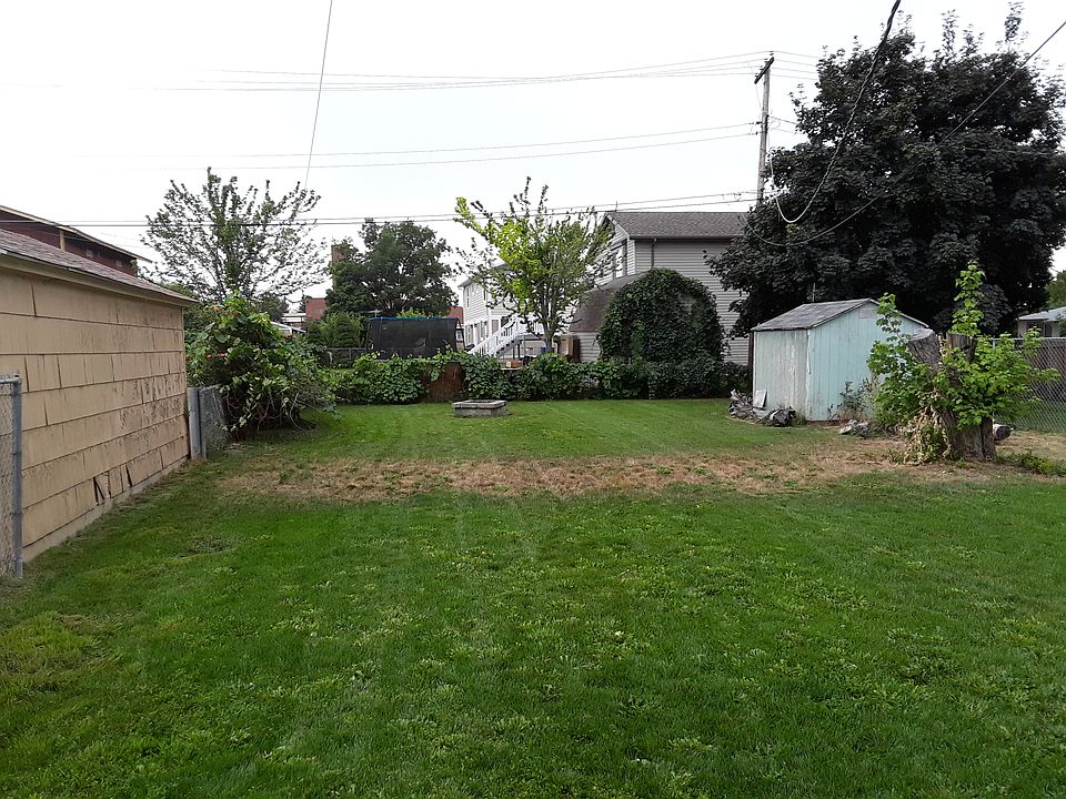 back yard