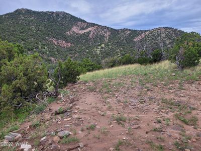 77 4076th, Springerville, AZ, 85938