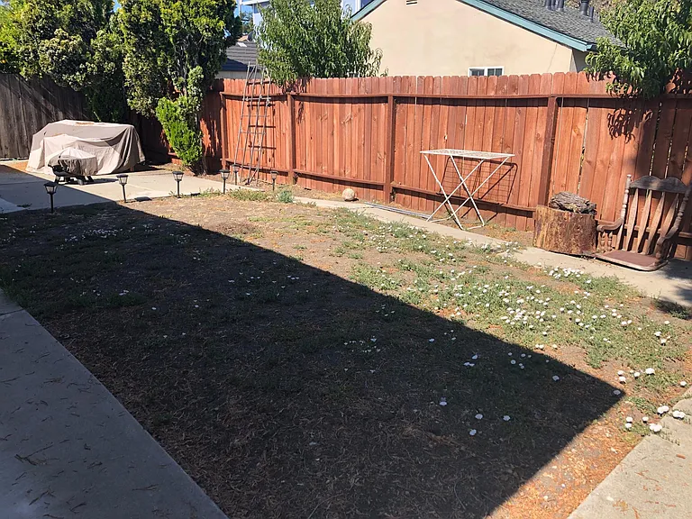 969 Rose Ave — Photo 7