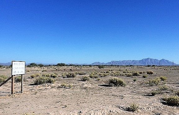 Views of Picacho Mountain!