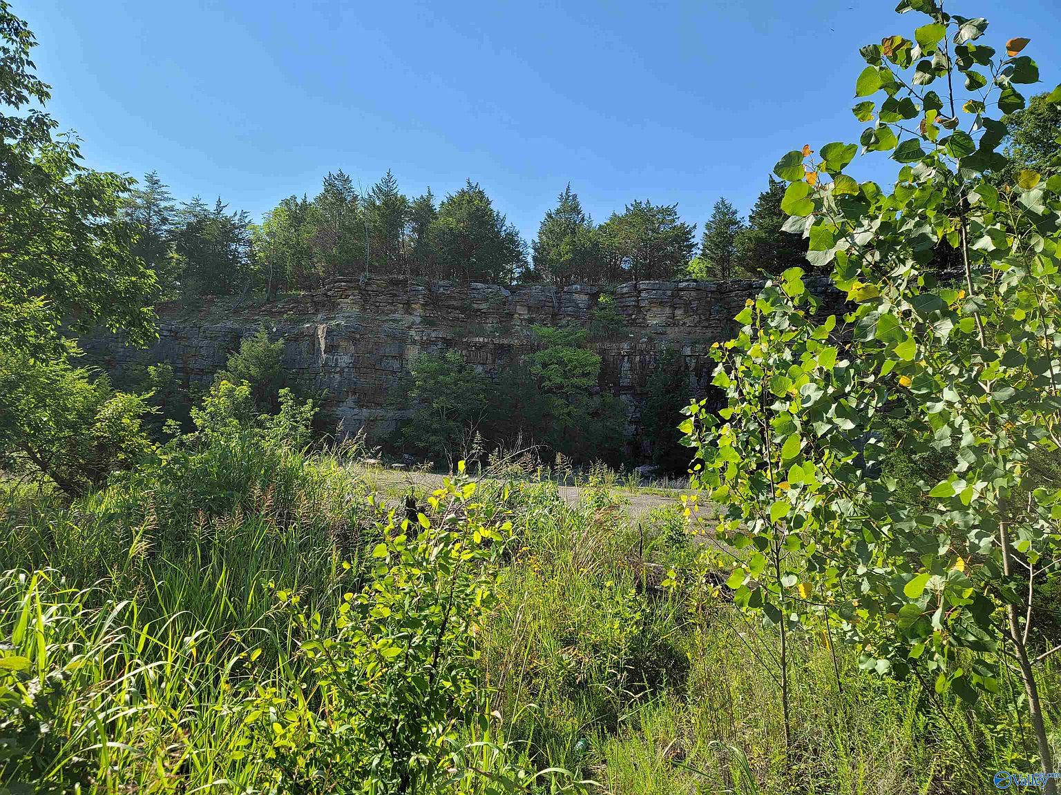 2833 Union Hill Rd, Somerville, AL 35670 MLS 1837218 Zillow