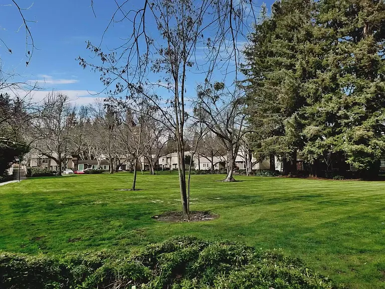 567 Sycamore Cir — Photo 23