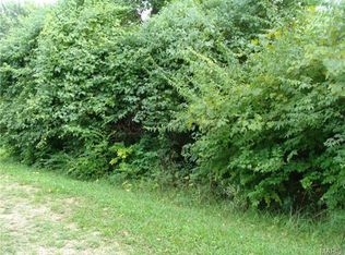 Jean Ave, Pacific, MO 63069