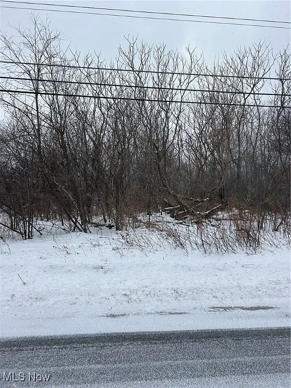 V/l Leroy Center Rd photo 1