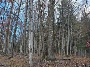 123 Ransom Rd, Binghamton, NY 13901