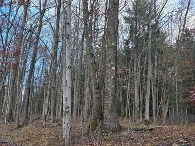 123 Ransom Rd, Binghamton, NY, 13901
