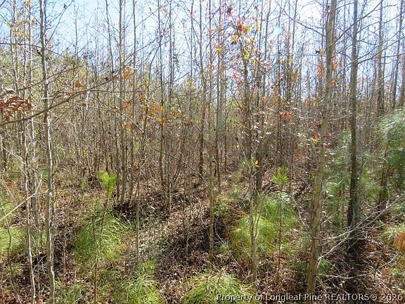 3rd image of Glory Light Rd