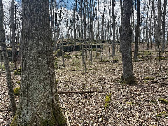 3rd image of 0 Dennison Run Rd