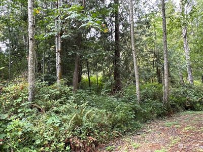 9 XX NE Winston Drive, Bremerton, WA, 98311