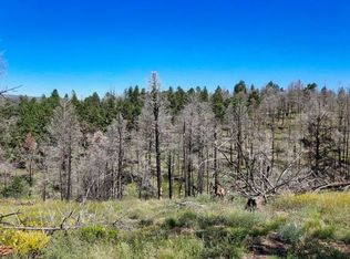 0 Burgoyn Loop #1706, Fort Garland, CO 81133