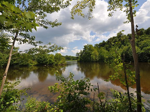 4th image of 8505 Heron Pond Ln