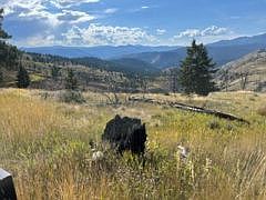 5th image of 100 Upper Packer Gulch Rd