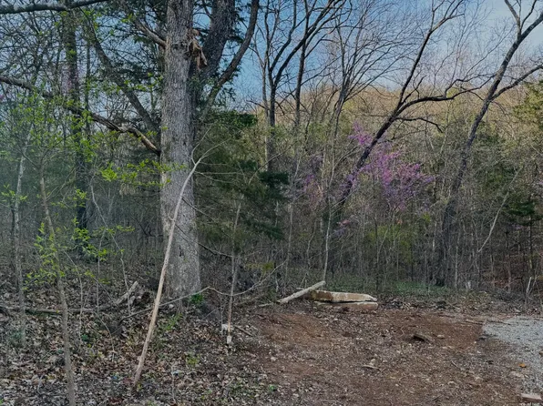 112 Mill Bridge, Lampe, MO 65681