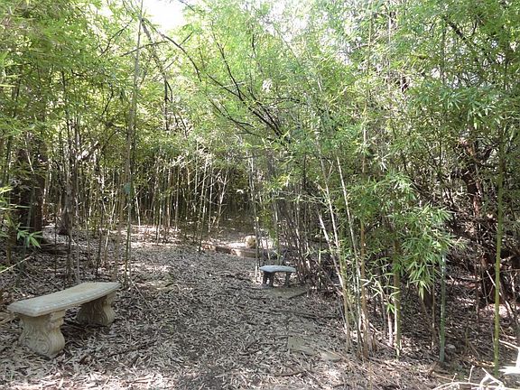 forest serenity in 0.42 acres