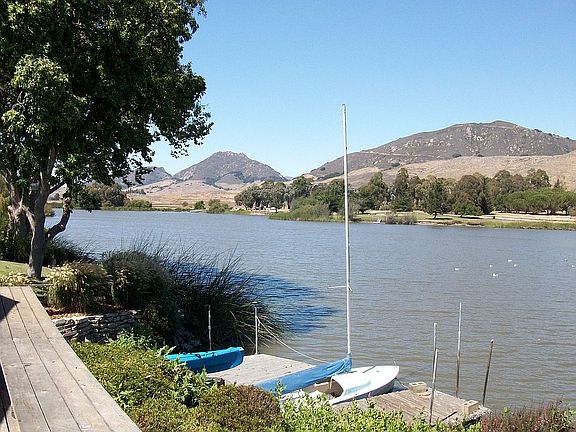 Backyard - When lake is full