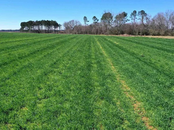 LOT 8 Mack Pond Rd, Atmore, AL 36502