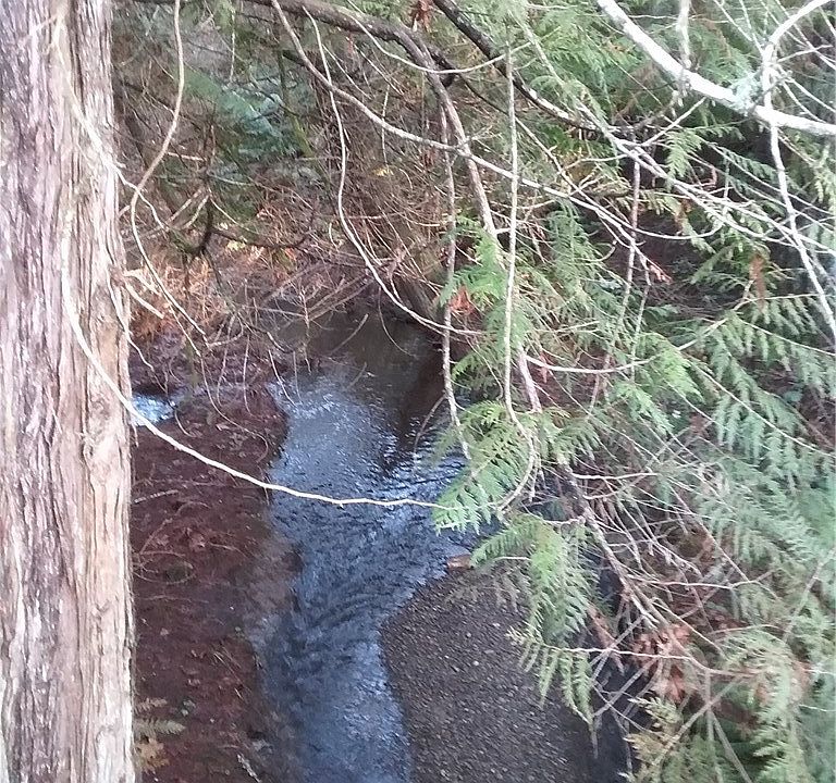 1st image of 9415 168th Ave NW