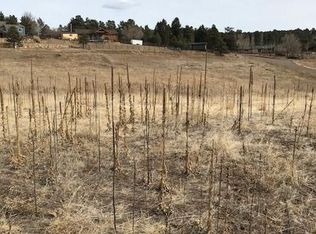 23799 Mont Blanc Dr, Indian Hills, CO 80454