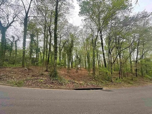 0 NE Scenic Dr, Cullman, AL 35055
